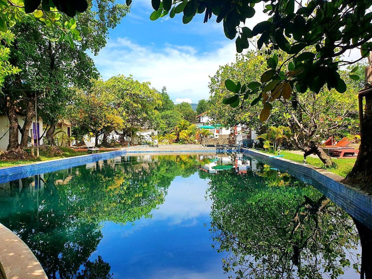 Bohemiaz Resort And Spa 캄폿 외부 사진