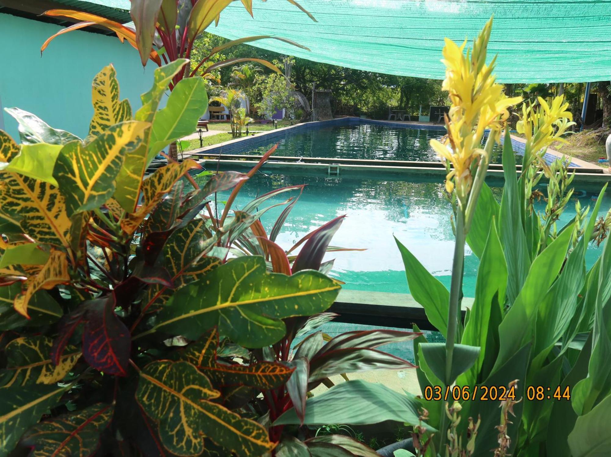 Bohemiaz Resort And Spa 캄폿 외부 사진
